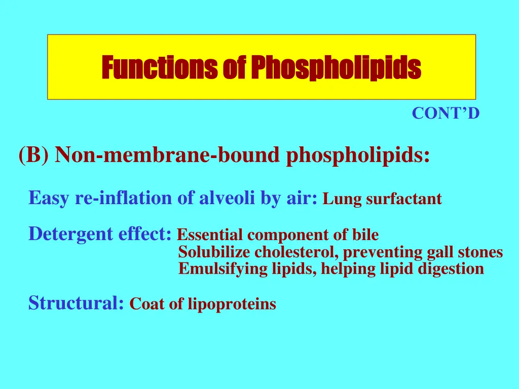functions of phospholipids functions 1