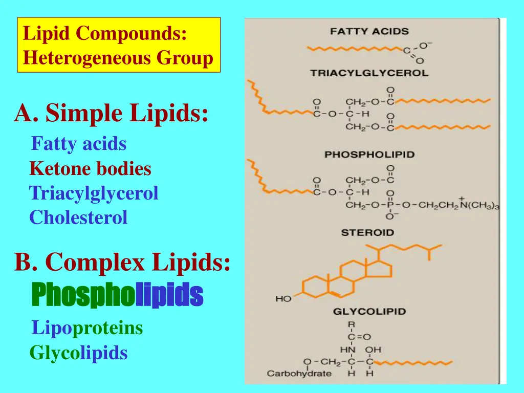 lipid compounds heterogeneous group