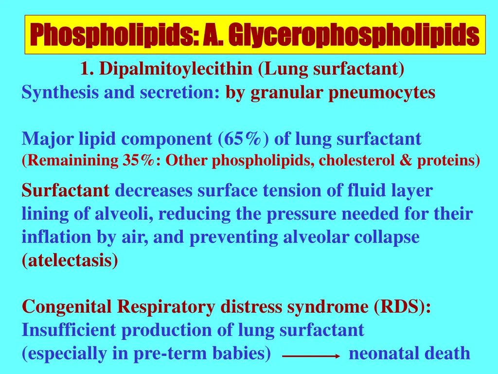 phospholipids a glycerophospholipids 1