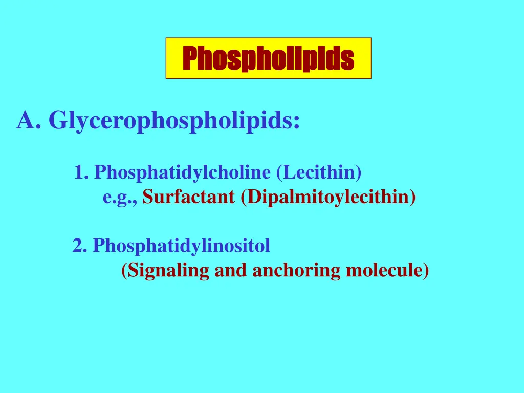 phospholipids phospholipids 1