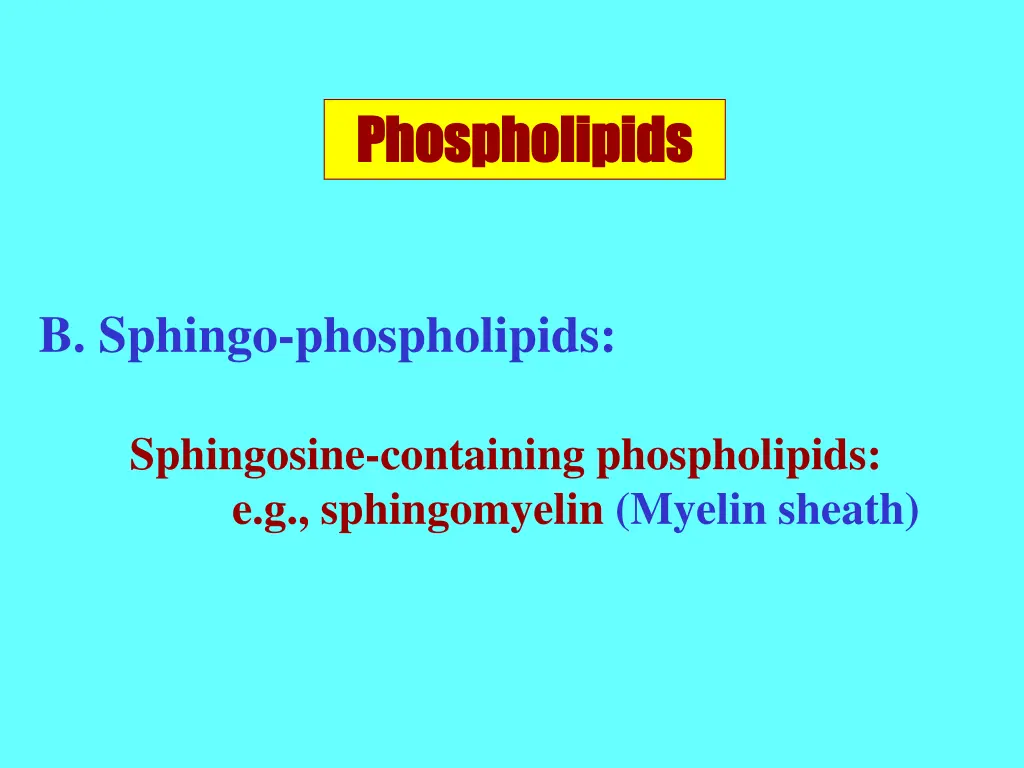phospholipids phospholipids 2