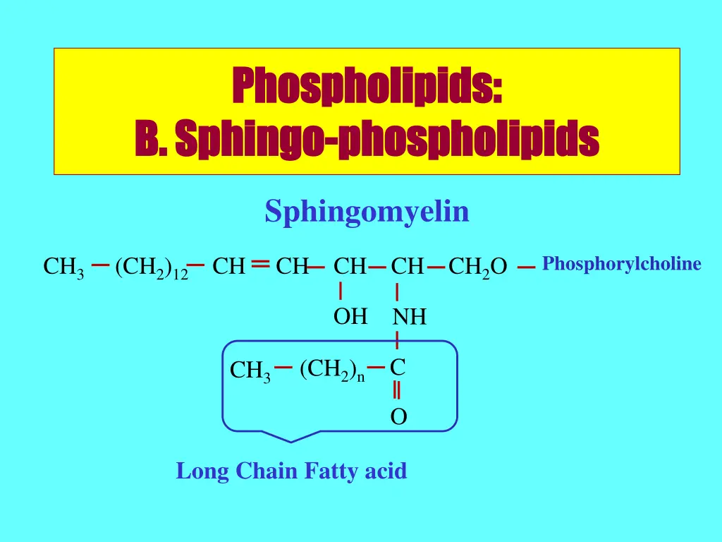phospholipids phospholipids b sphingo b sphingo