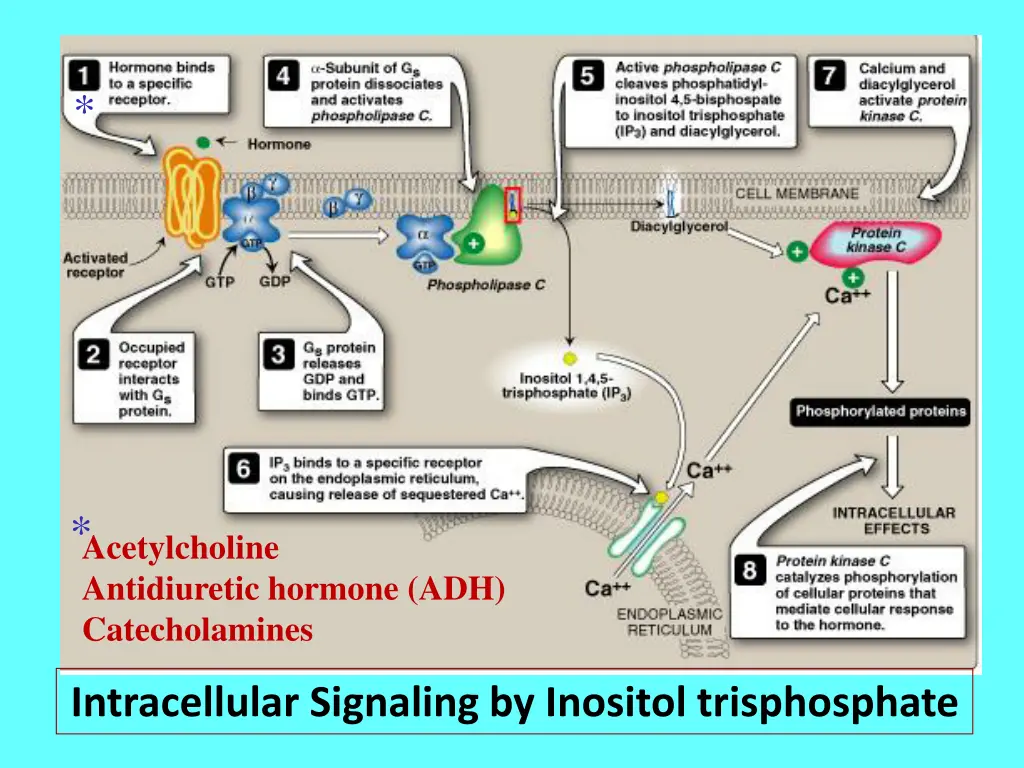 slide16