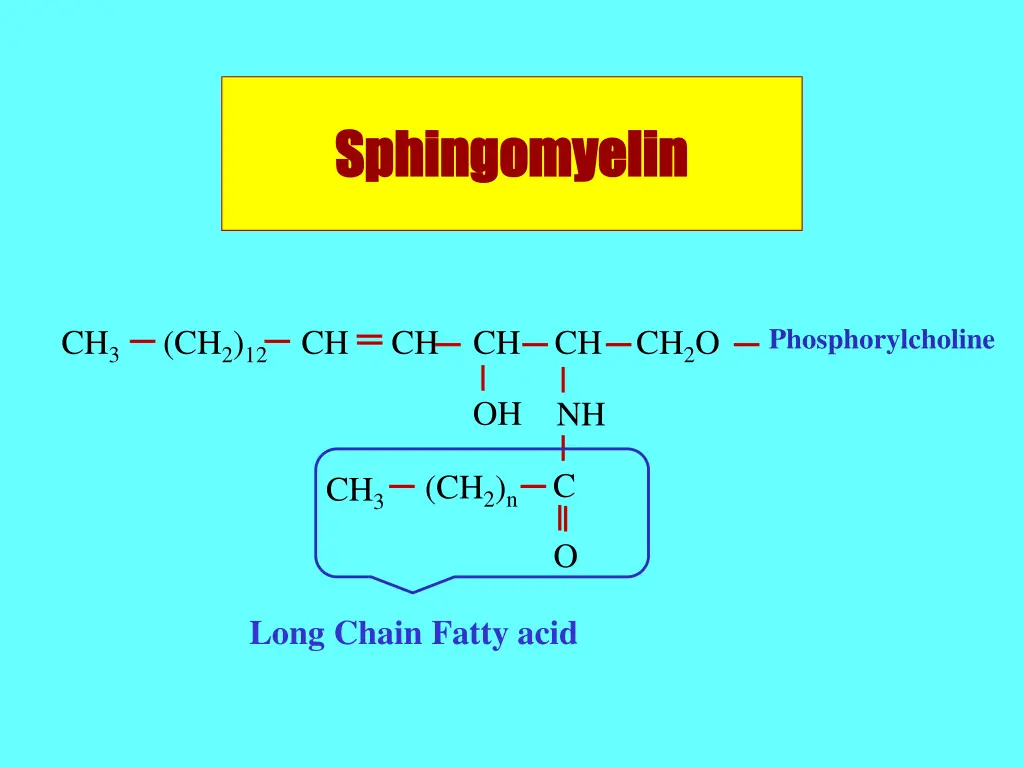 sphingomyelin sphingomyelin