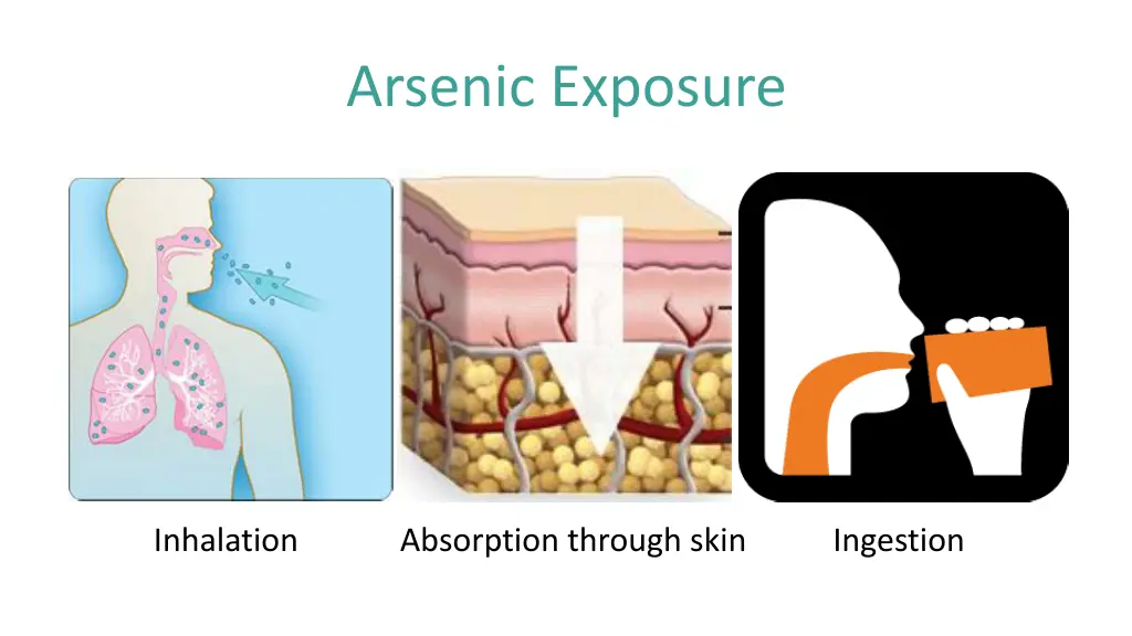 arsenic exposure