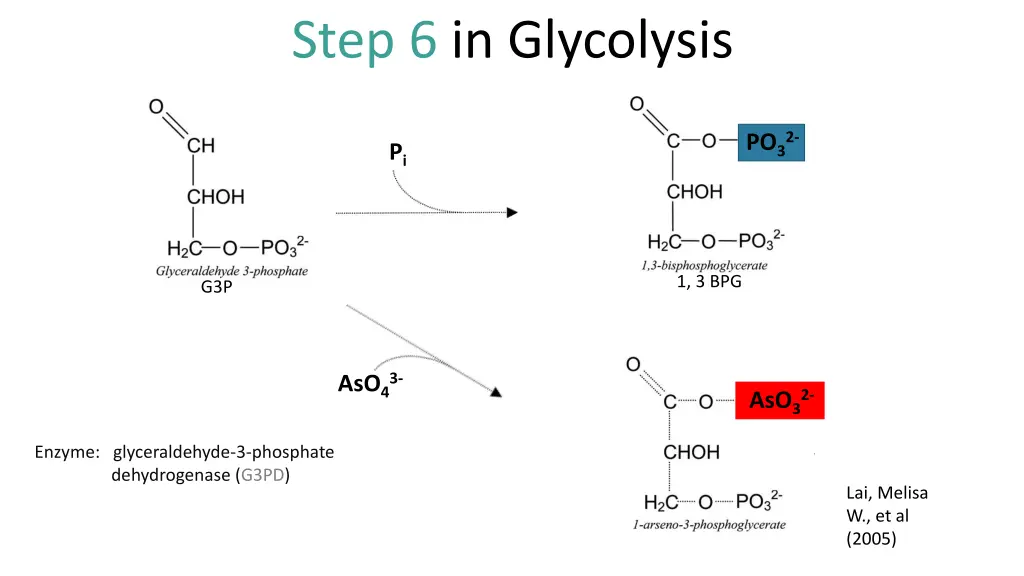 step 6 in glycolysis