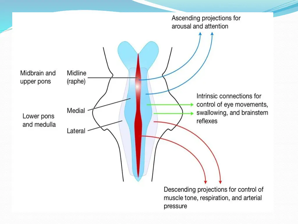 slide14