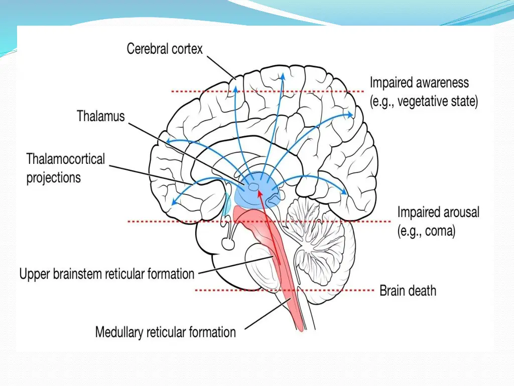 slide39