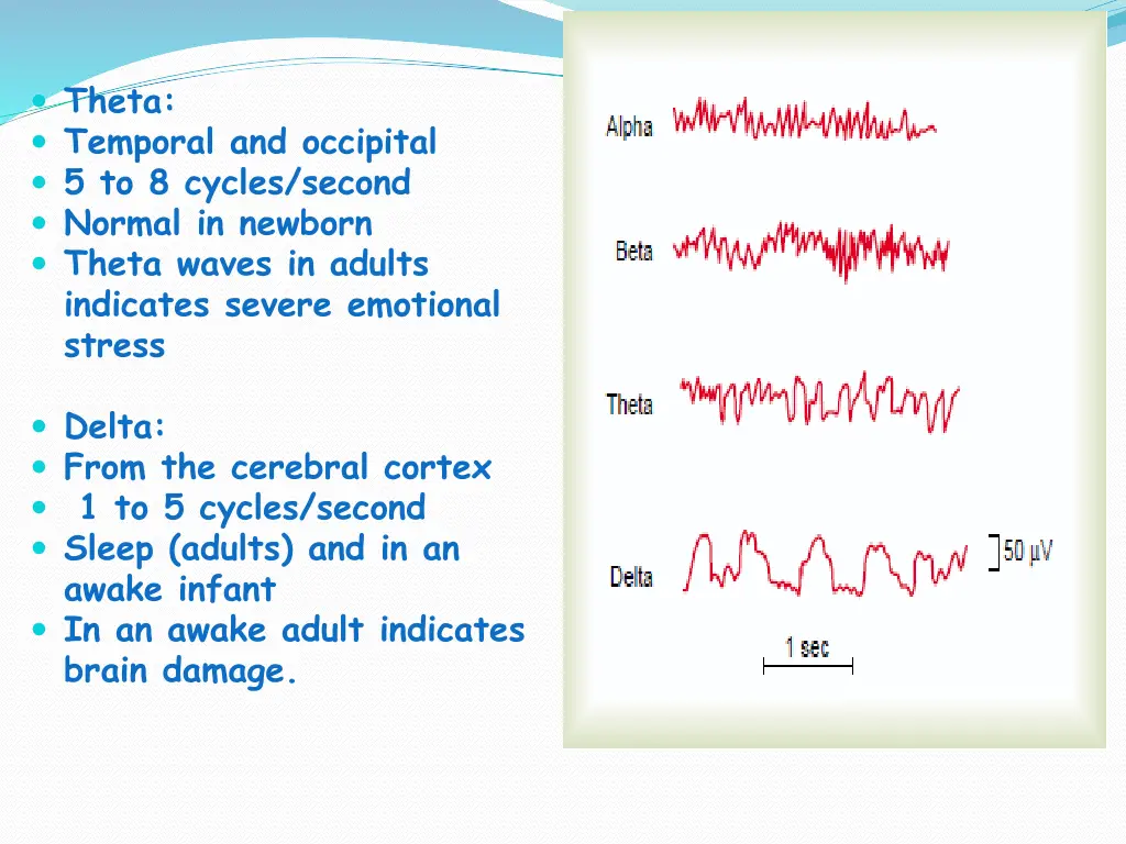 theta temporal and occipital 5 to 8 cycles second
