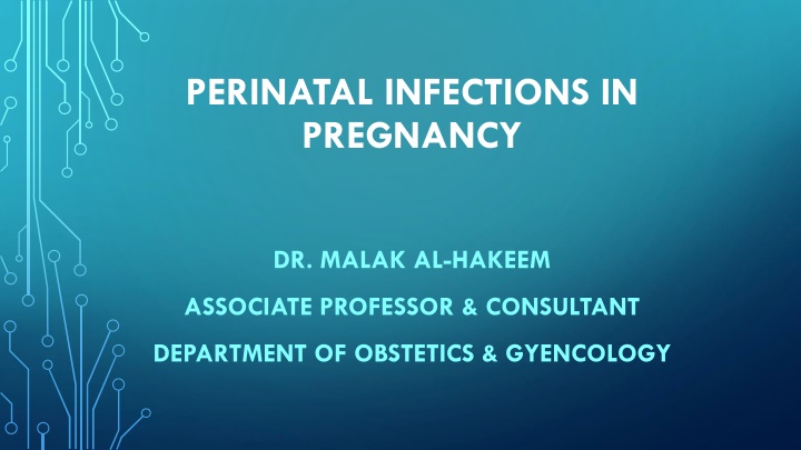 perinatal infections in pregnancy
