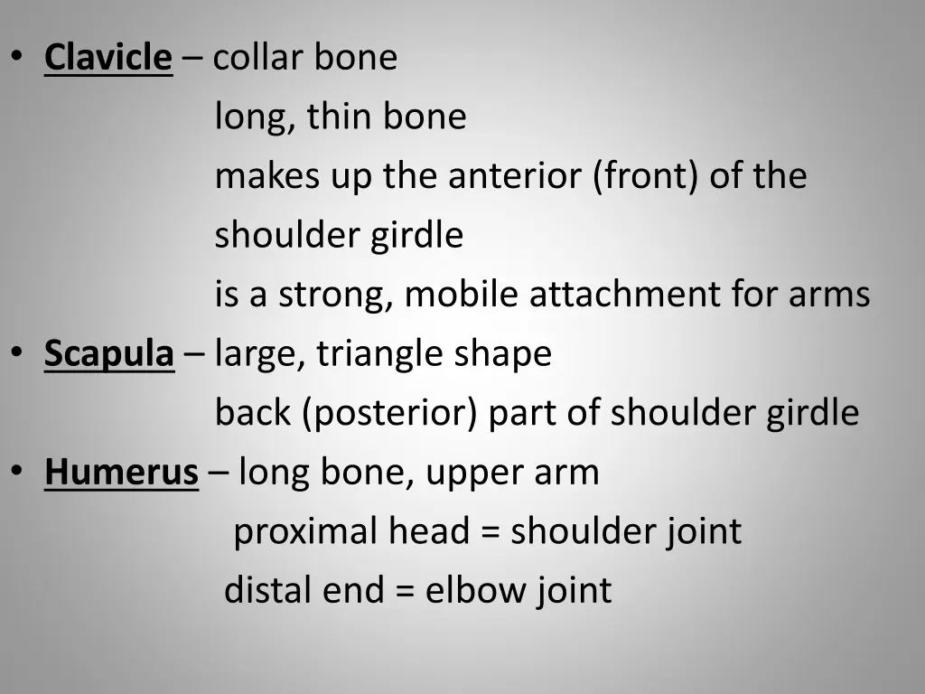 clavicle collar bone long thin bone makes