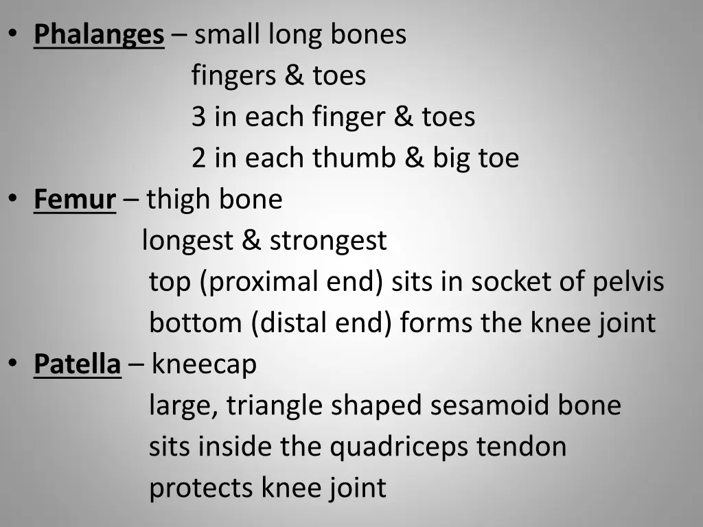 phalanges small long bones fingers toes 3 in each