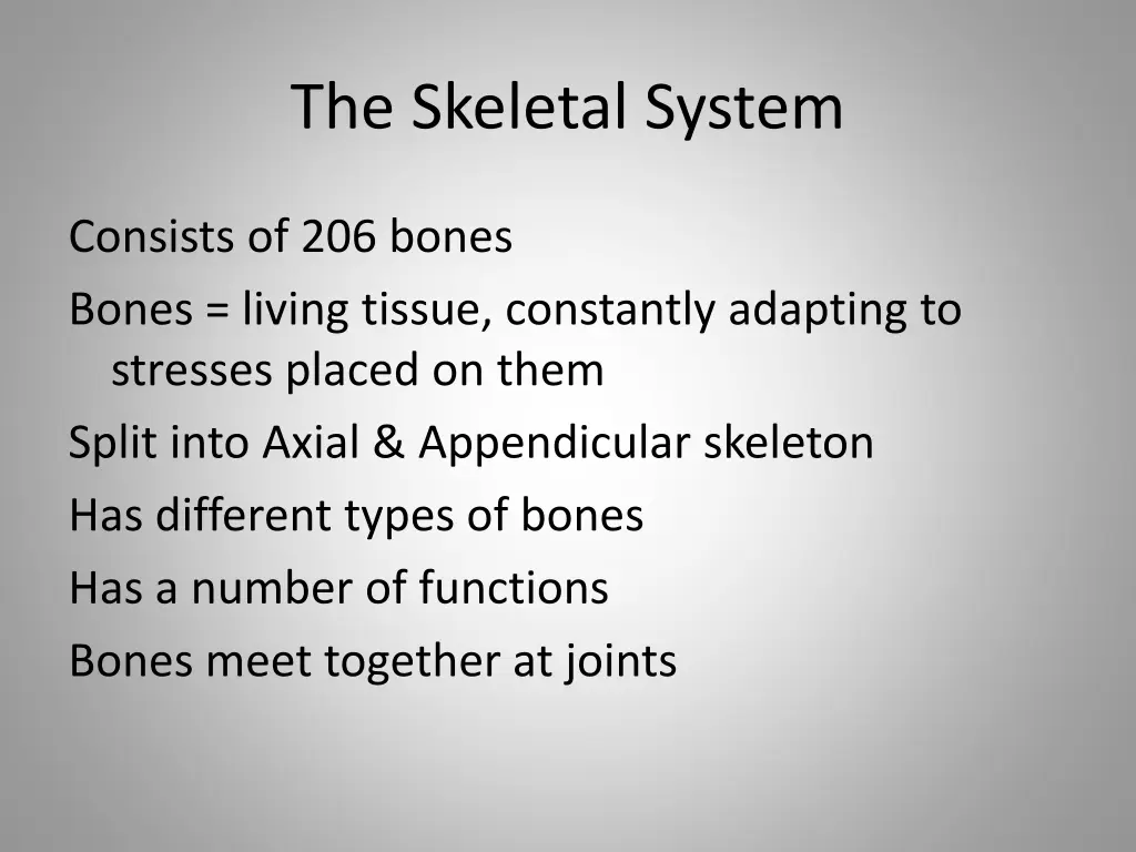 the skeletal system