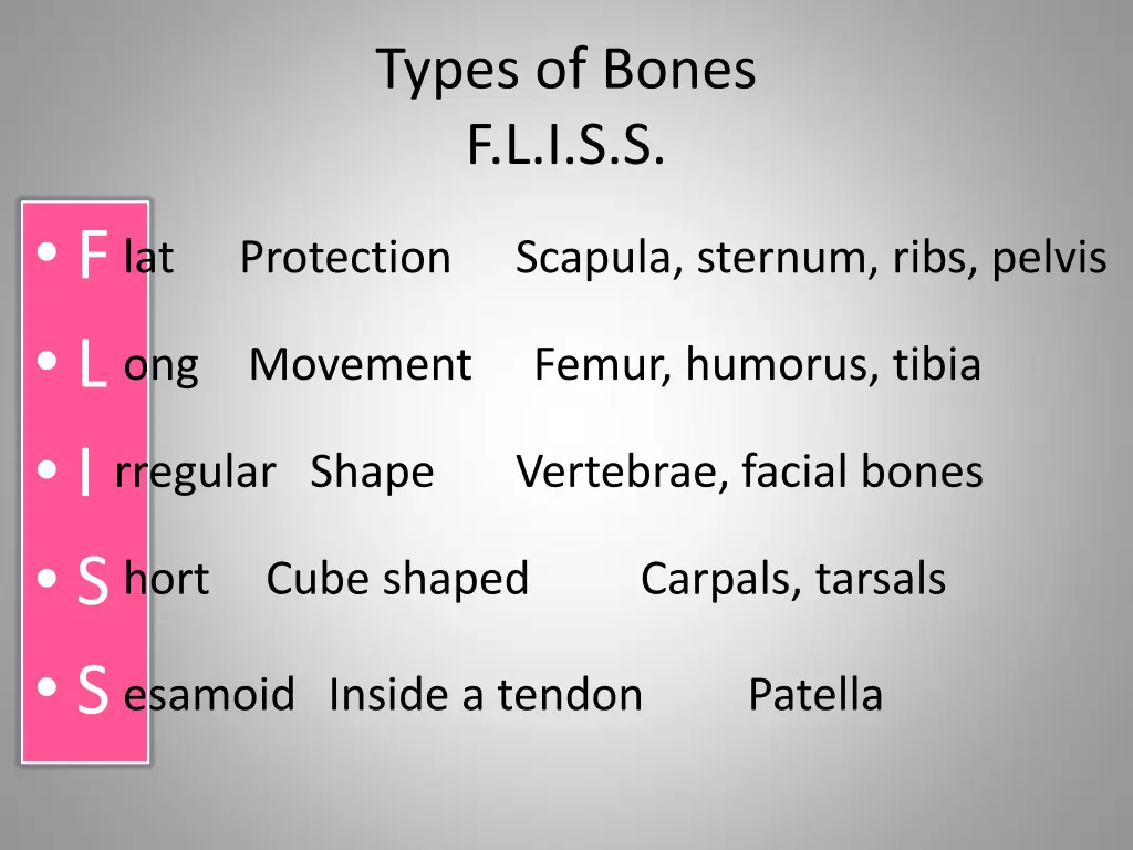 types of bones f l i s s