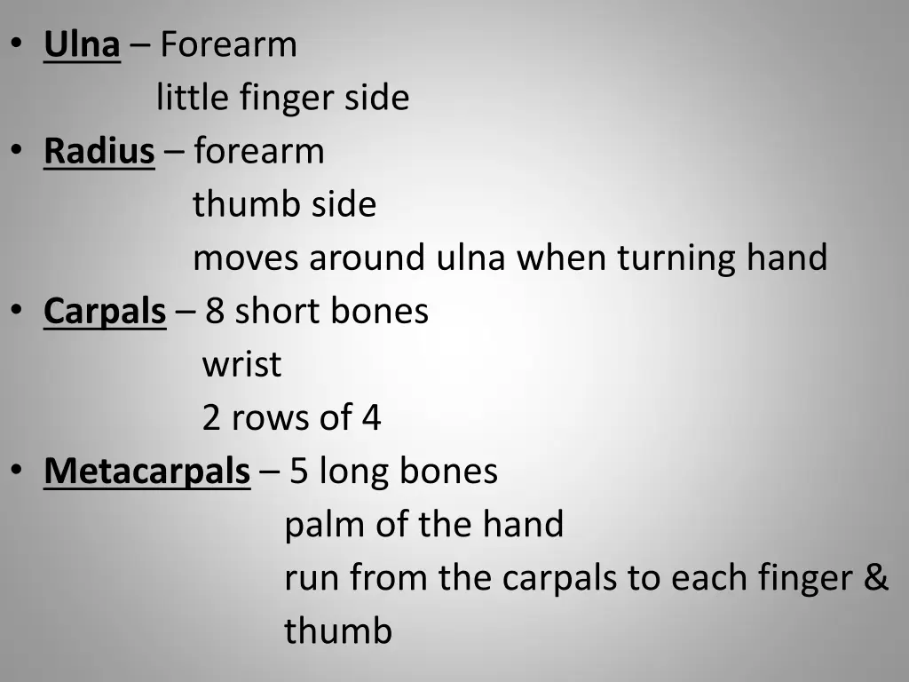 ulna forearm little finger side radius forearm