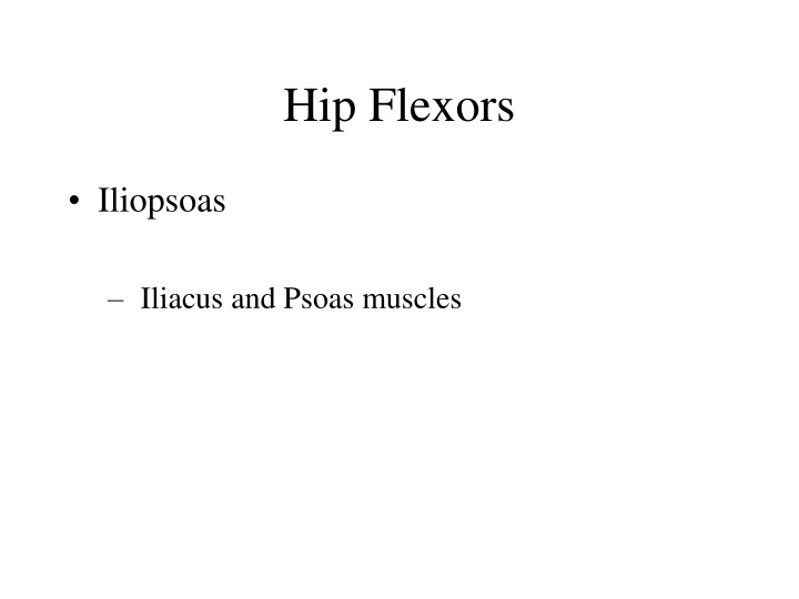 hip flexors