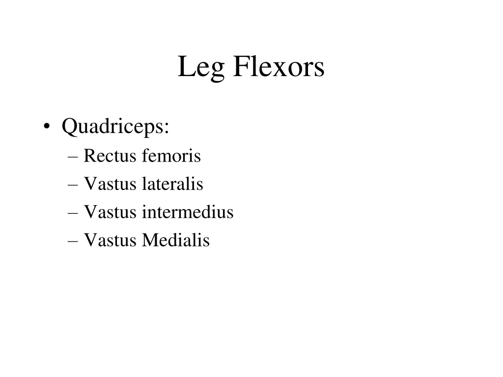 leg flexors