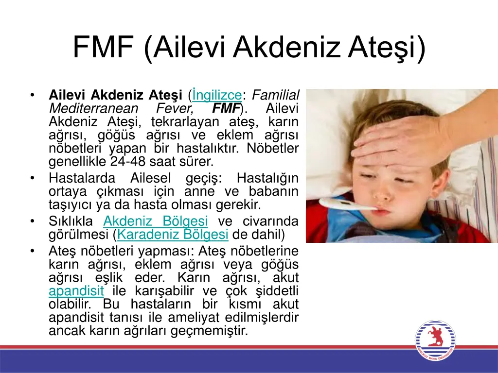 fmf ailevi akdeniz ate i