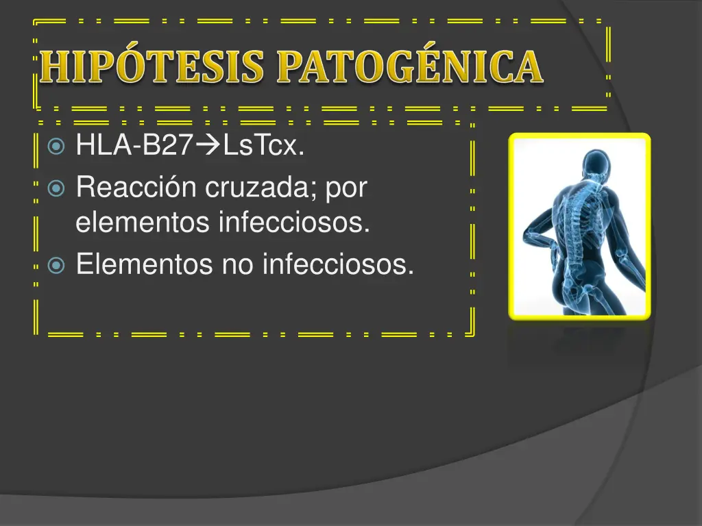 hla b27 lstcx reacci n cruzada por elementos