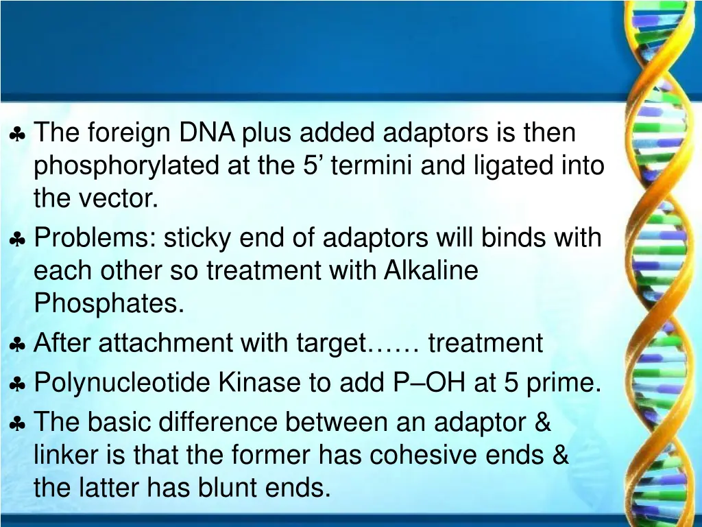 the foreign dna plus added adaptors is then