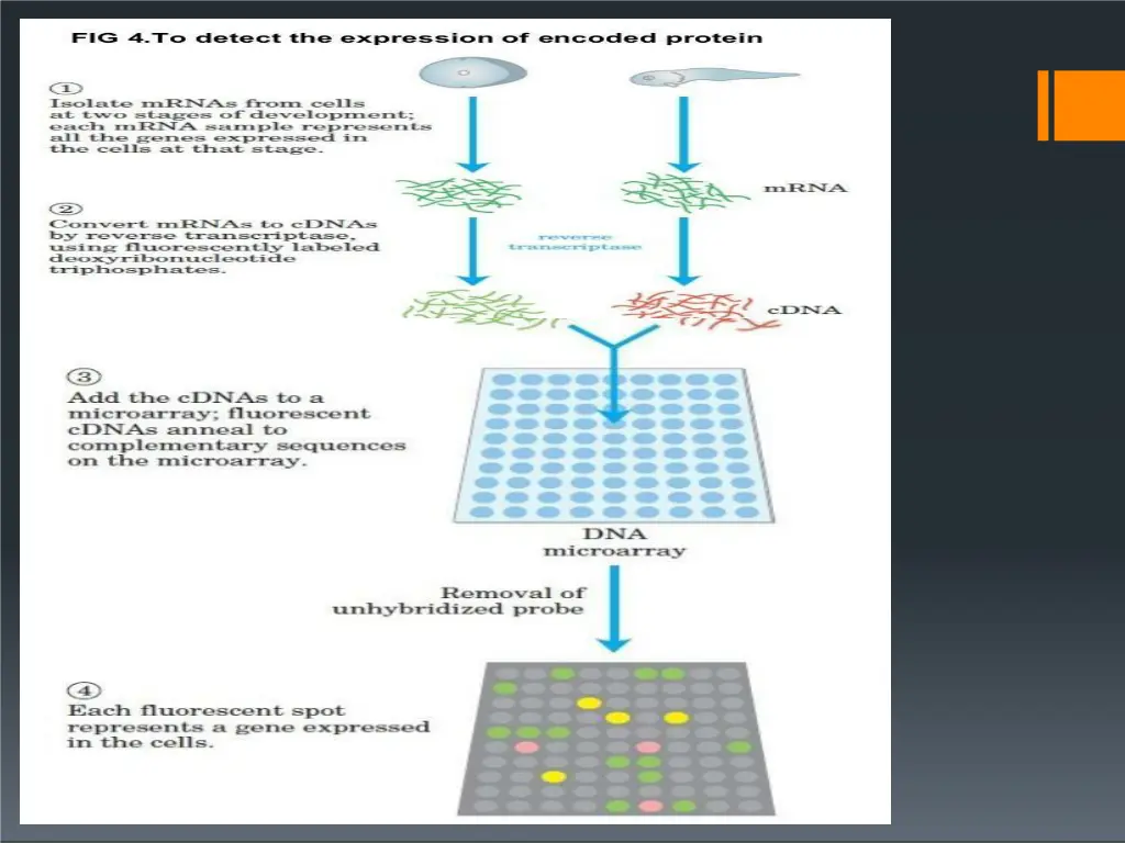 slide12