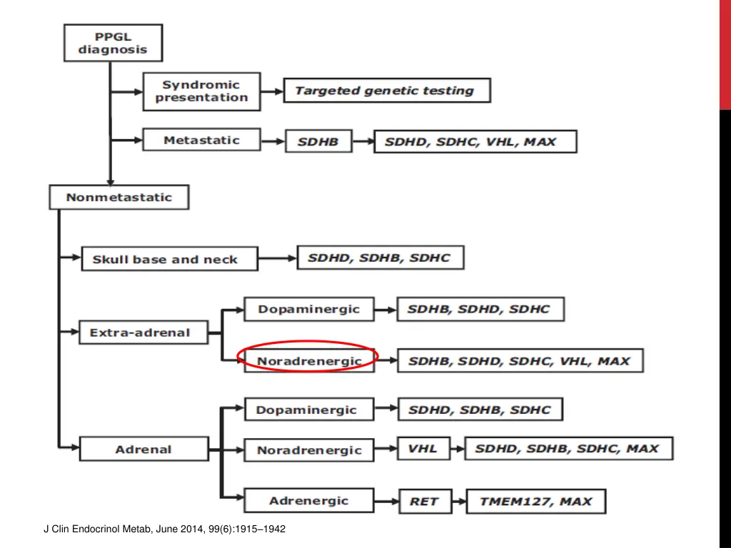 j clin endocrinol metab june 2014 99 6 1915 1942