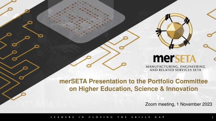 merseta presentation to the portfolio committee