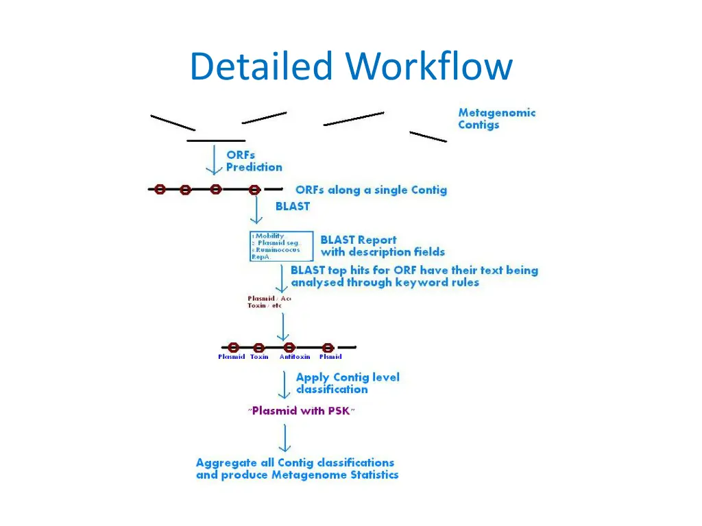 detailed workflow