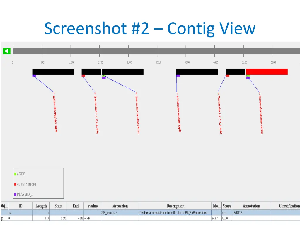 screenshot 2 contig view