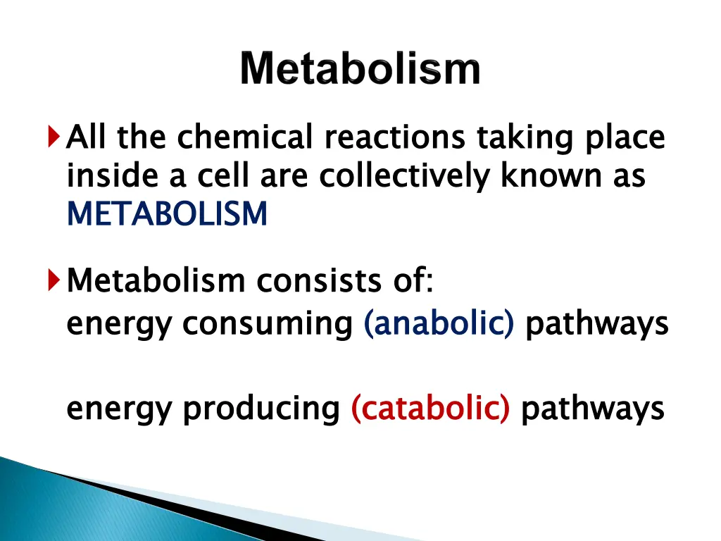 all the chemical reactions taking place inside