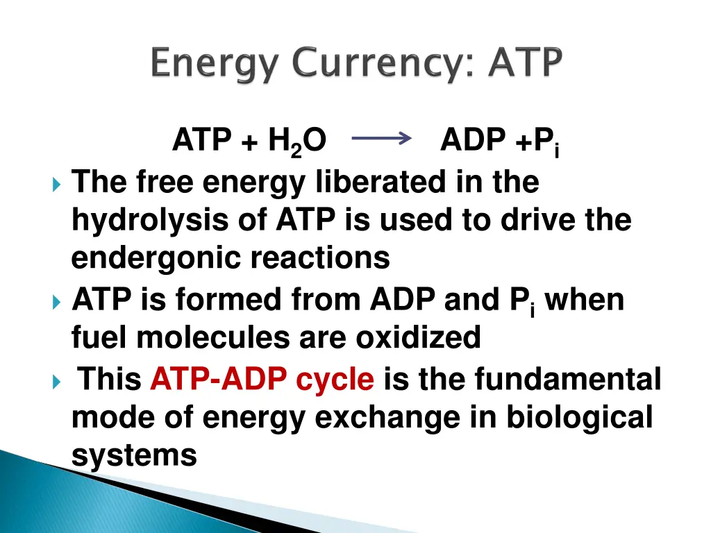 atp h 2 o adp p i the free energy liberated
