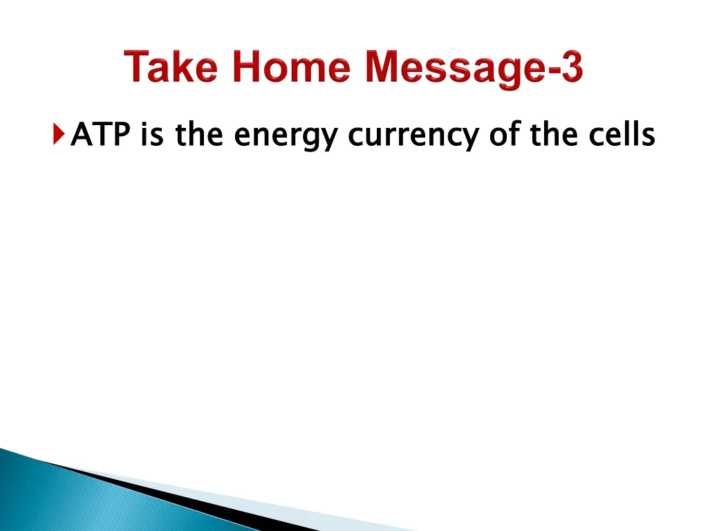 atp is the energy currency of the cells