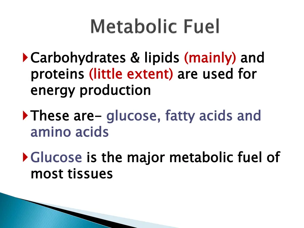 carbohydrates lipids proteins energy production