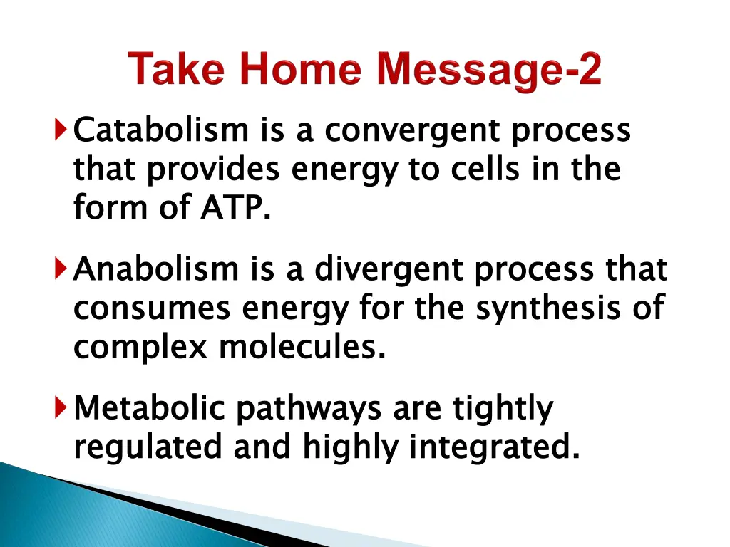catabolism is a convergent process that provides