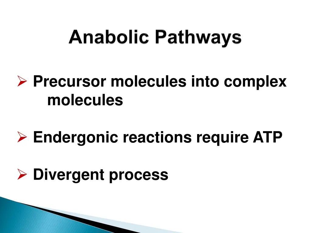 precursor molecules into complex molecules