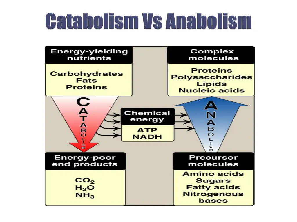 slide11