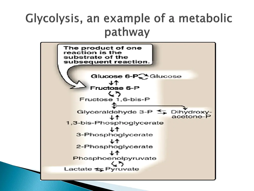 slide5