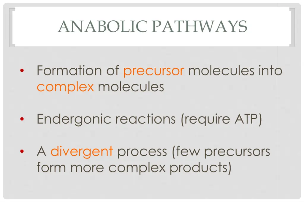 anabolic pathways
