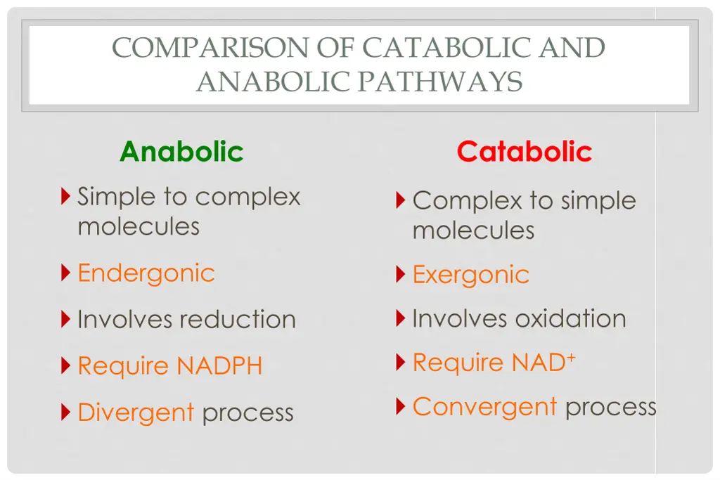 comparison of catabolic and anabolic pathways