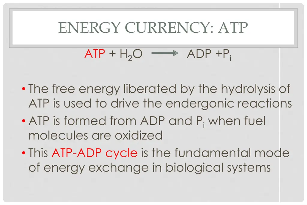 energy currency atp