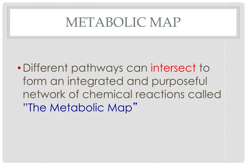 metabolic map