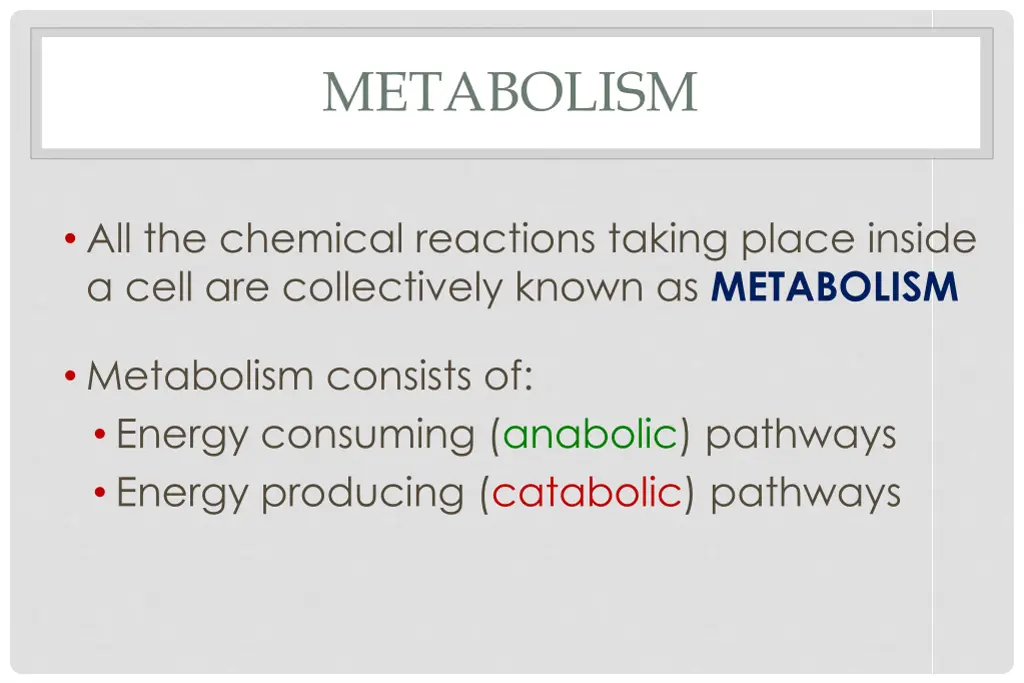 metabolism