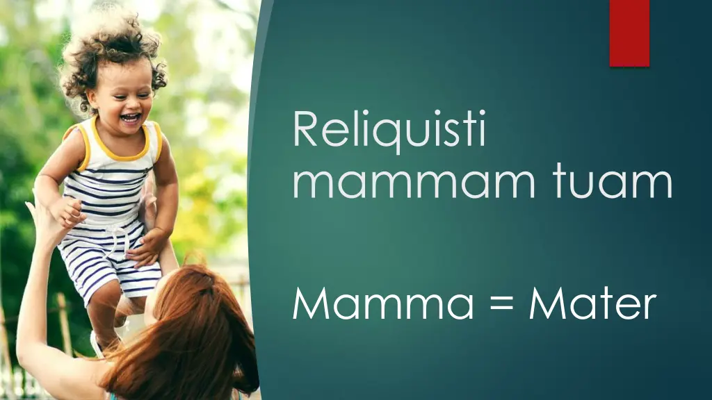 reliquisti mammam tuam