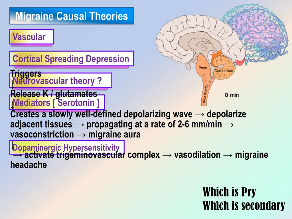 migraine causal theories 1