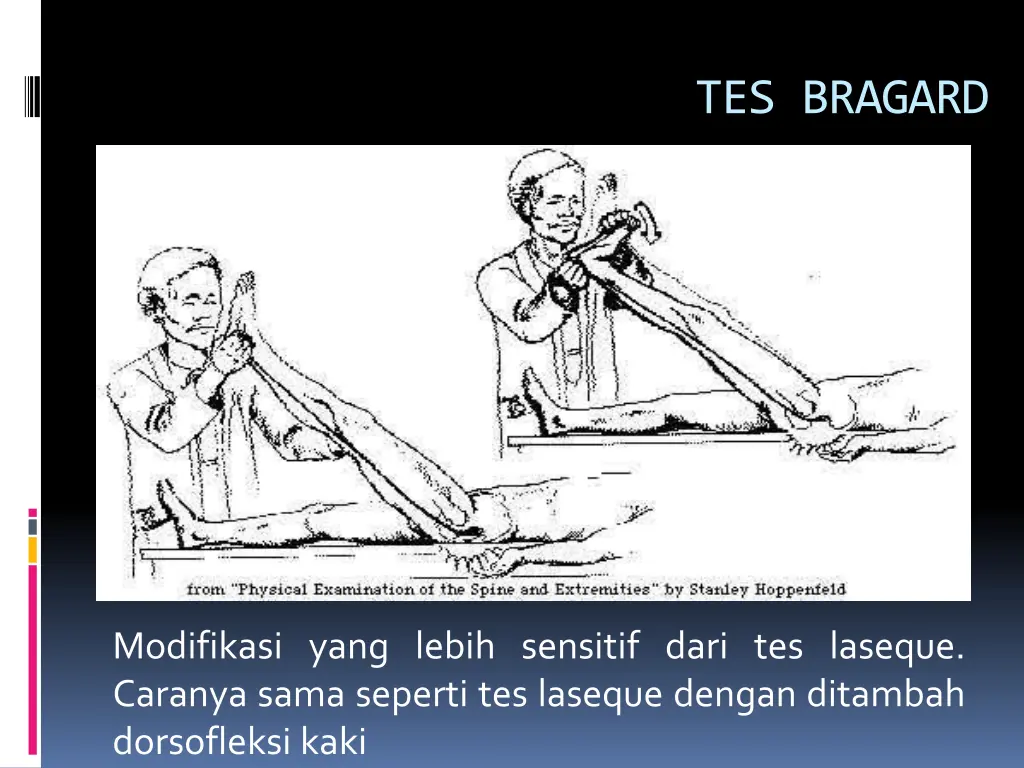 tes bragard