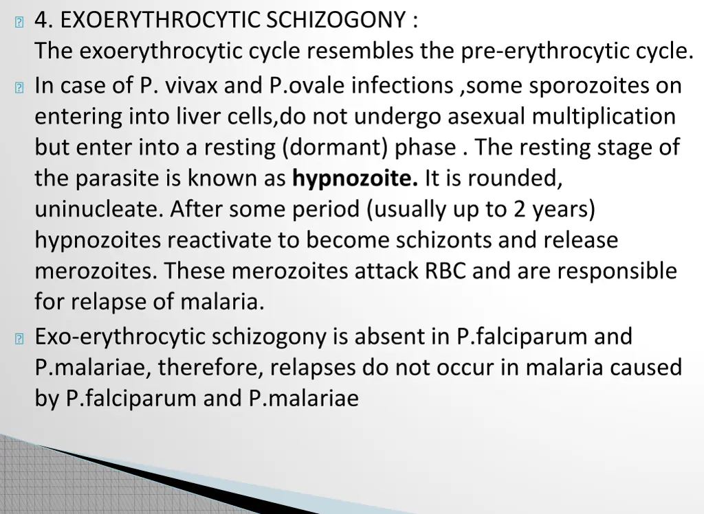 4 exoerythrocytic schizogony the exoerythrocytic