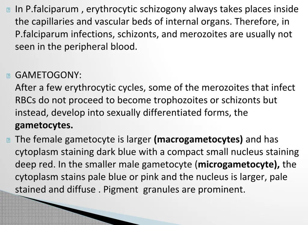in p falciparum erythrocytic schizogony always