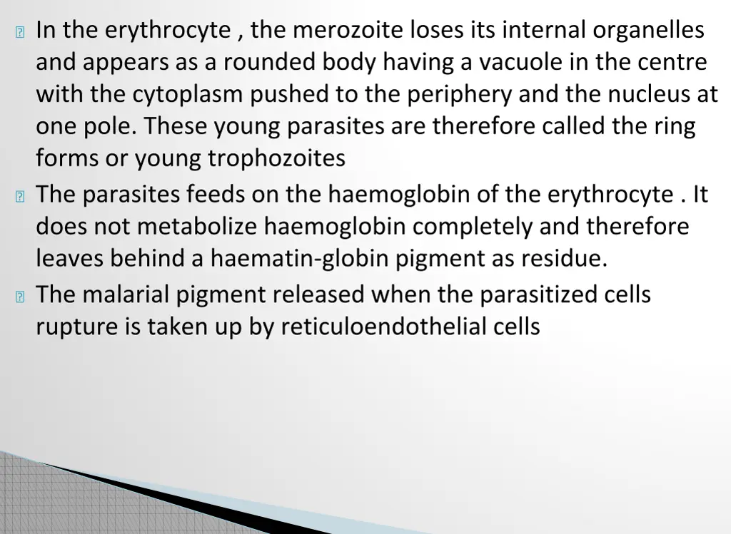 in the erythrocyte the merozoite loses