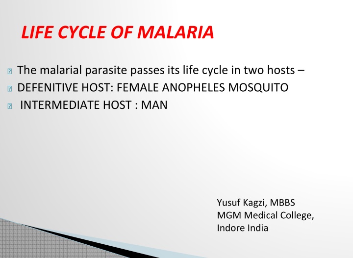 life cycle of malaria