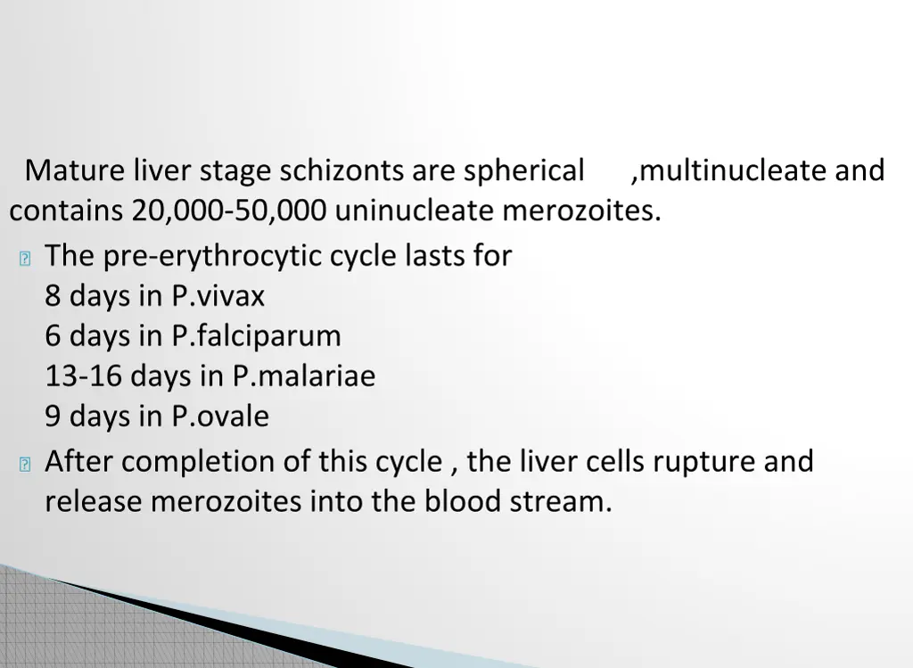 mature liver stage schizonts are spherical